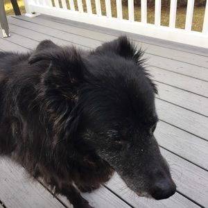 Meet your Posher, Christine